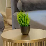 Pasteur Collection - Confort & Design - 2pers דירה וילאורבן